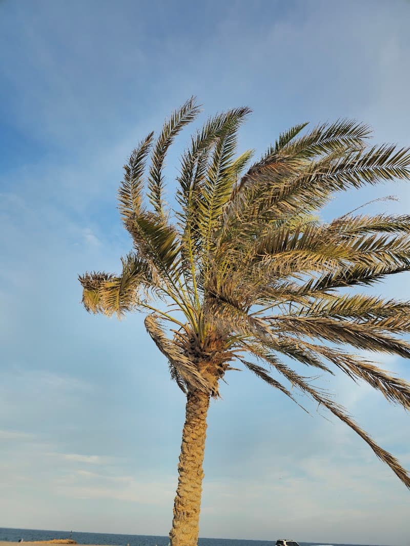 Qurayat Beach