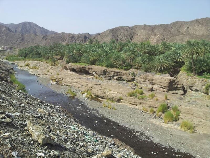 Wadi Dima'