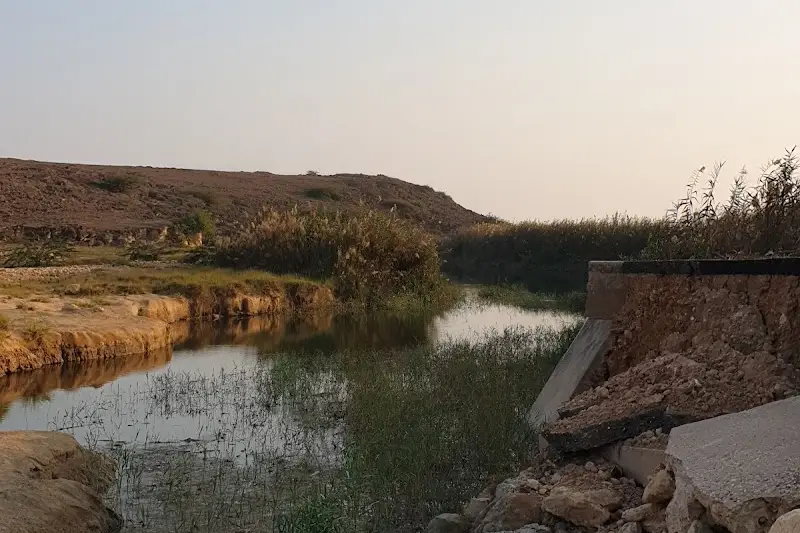 محمية خور صولي