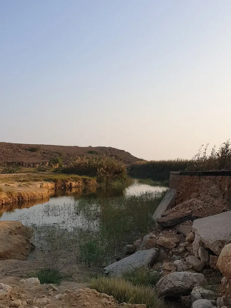 محمية خور صولي