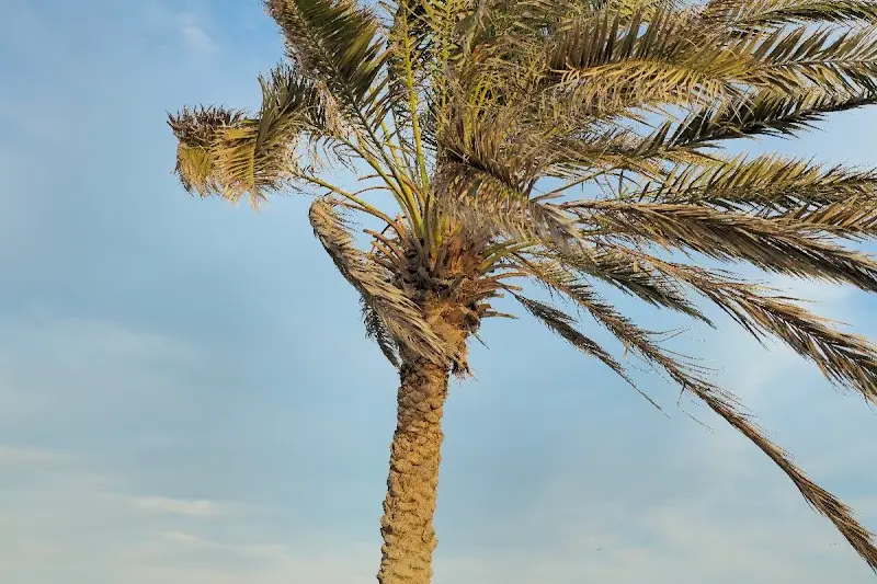 شاطئ قريات