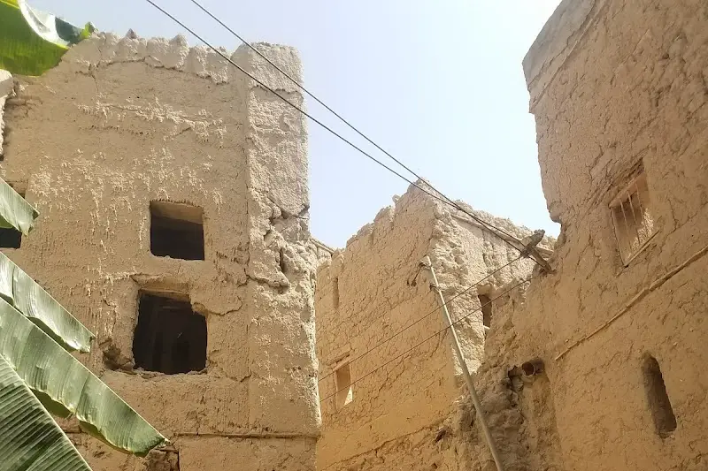 بركة الموز