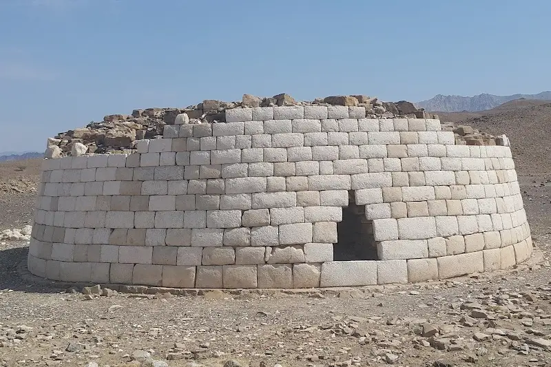 مسندم على ظهر داو