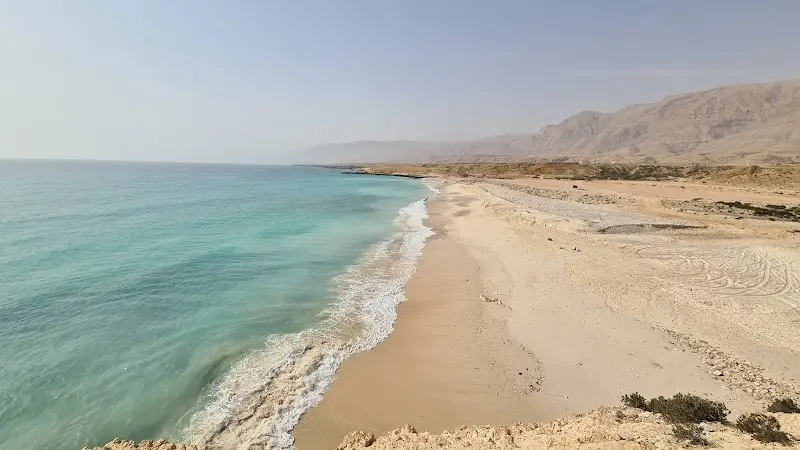 شاطى فنس