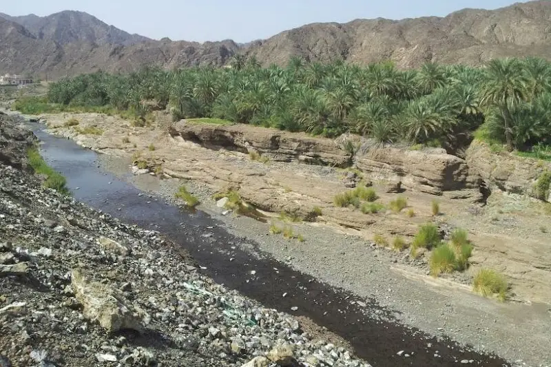 وادي دماء
