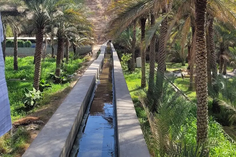 فلج الفيقين