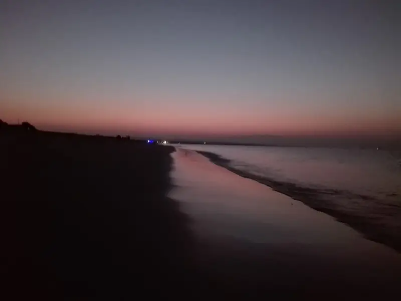 Ras Al Hadd Beach