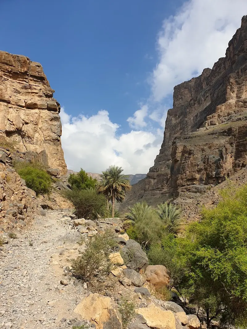وادي تنوف