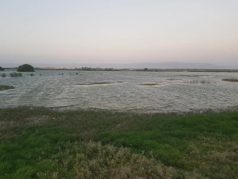 خور الدهاريز