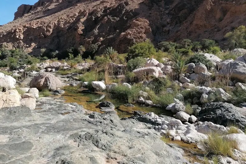 وادي طيوي