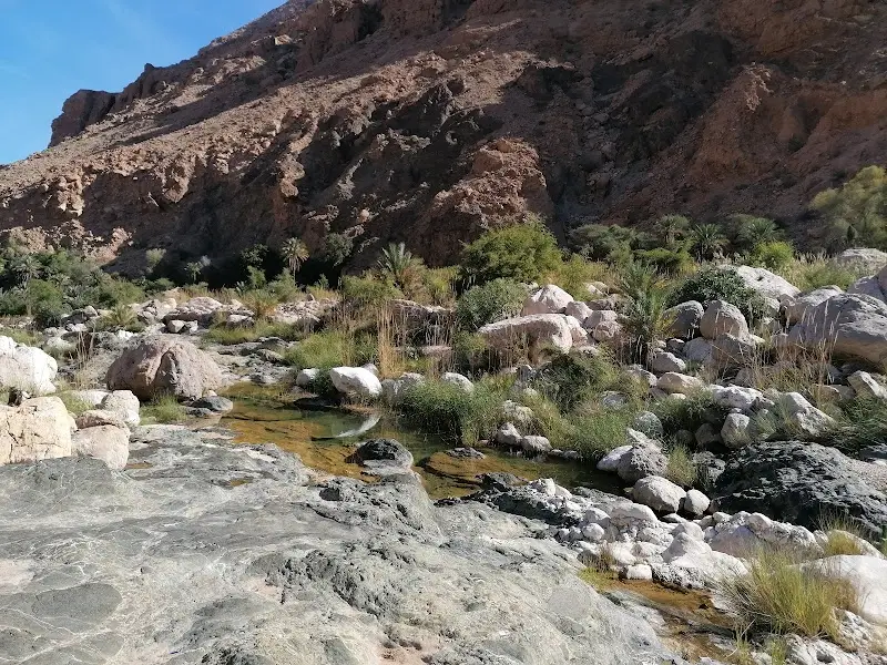 وادي طيوي