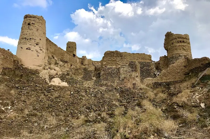 حصن الاسود