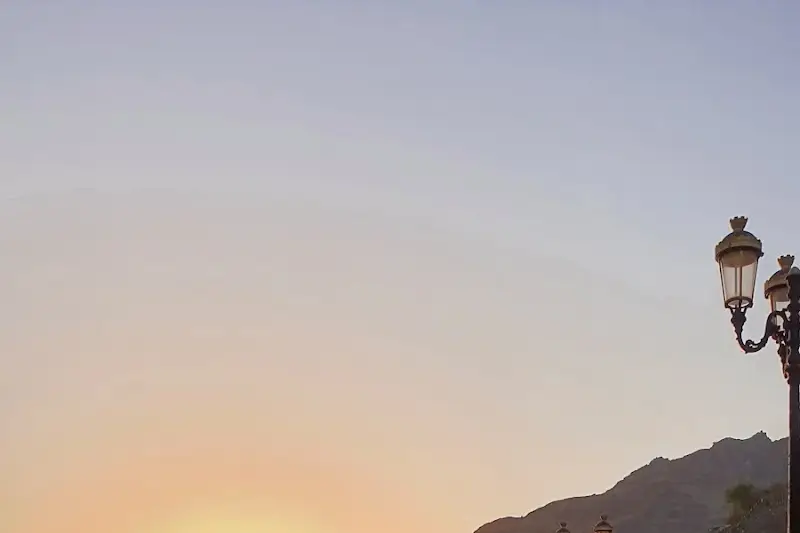 شيصة